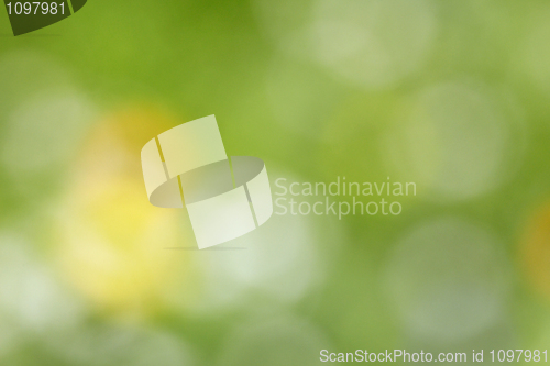 Image of Abstract color background - out-of-focus photo of meadow
