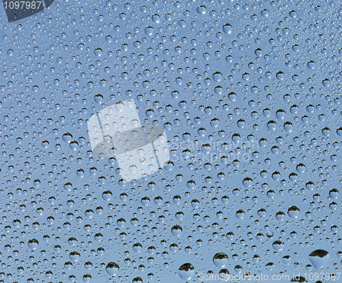 Image of Small drops of water on glass surface