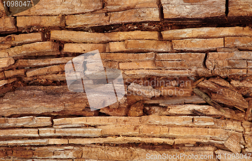 Image of Rotten wooden background