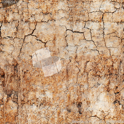 Image of Seamless texture - cracked clay ground