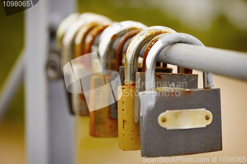 Image of Padlocks left by bride and groom on bridge