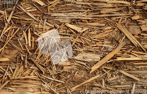 Image of Decomposed old rotted wood backdrop