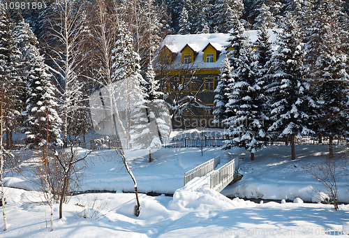 Image of Winter landscape