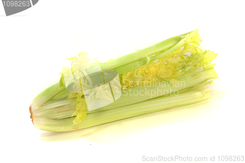 Image of Celery