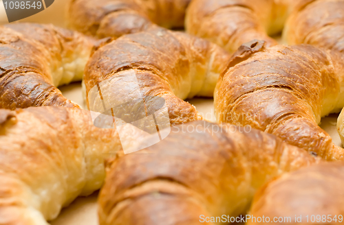 Image of Tasty croissants or crescent rolls