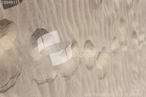 Image of Dunes