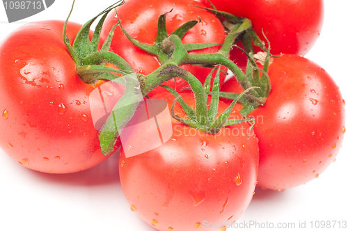 Image of Tomatoes