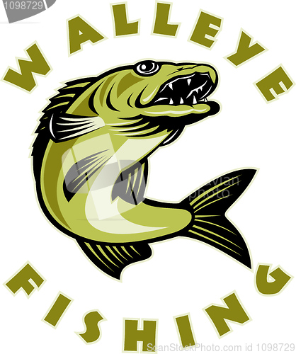 Image of Walleye fish jumping