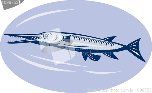 Image of Needlefish family Belonidae