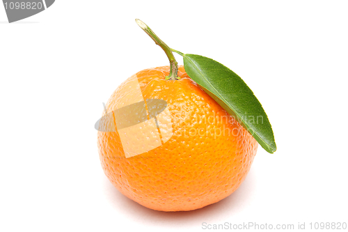 Image of Mandarin