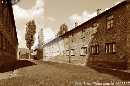 Image of Auschwitz Birkenau concentration camp.