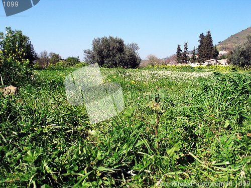 Image of Green Spring. Galata. Cyprus