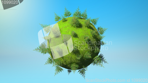 Image of Environment concept - Earth planet and firtrees