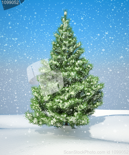 Image of Snowbound Christmas firtree