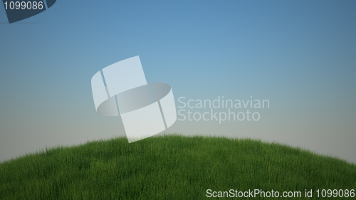 Image of Green grass landscape and blue sky