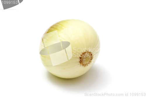 Image of Onion