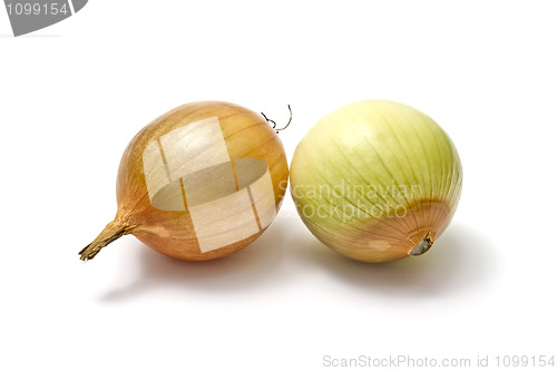 Image of Onions closeup