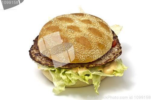 Image of Delicious hamburger