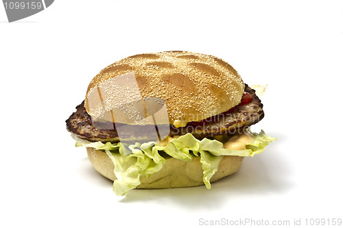 Image of Hamburger 