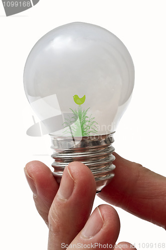Image of Eco Light Bulb