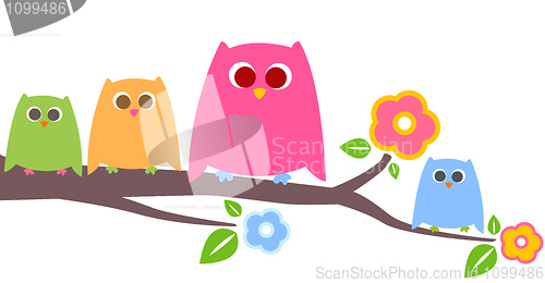 Image of owls 