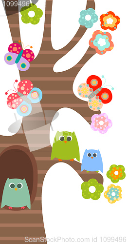 Image of sweet owls