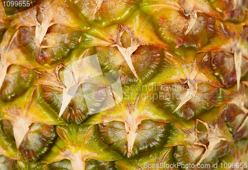 Image of Pattern of surface pineapple close-up