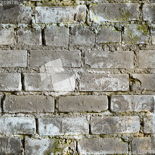 Image of Seamless texture from dirty moldy brick wall