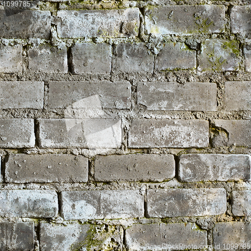 Image of Seamless texture from dirty moldy brick wall