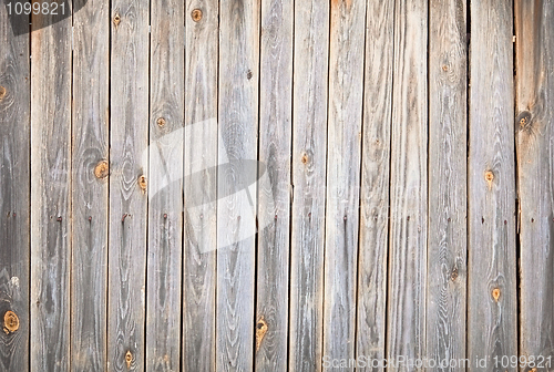 Image of Textured background of old wooden fence