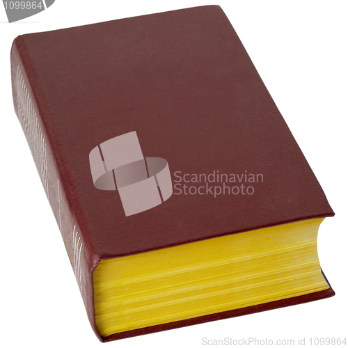 Image of Big book in brown leather cover on white