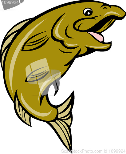 Image of trout fish