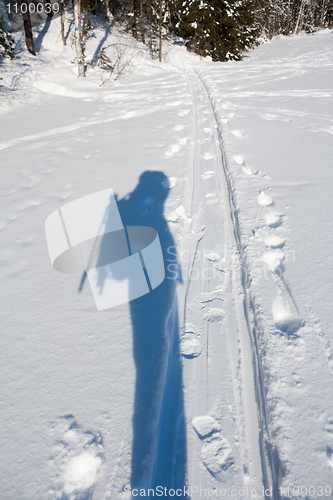 Image of Shadow