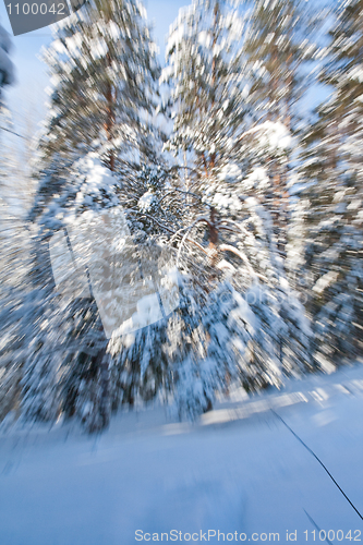 Image of Speed