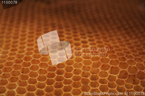 Image of empty honey background