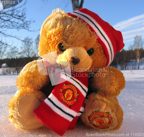 Image of Manchester United Mascot
