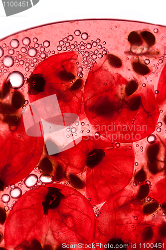 Image of Red Currant Juice