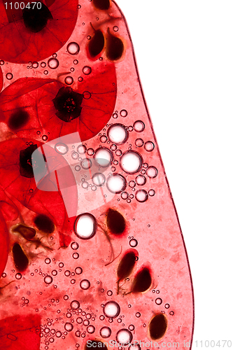 Image of Red Currant Juice