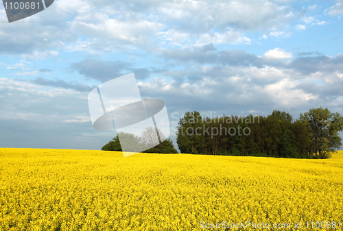 Image of Colorful spring landscape