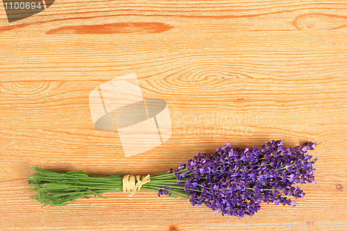 Image of Lavender