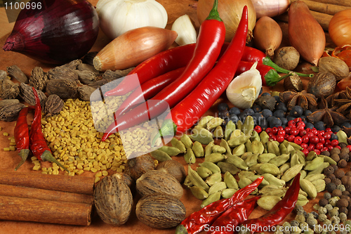 Image of Spices and herbs