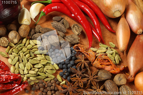 Image of Spices and herbs