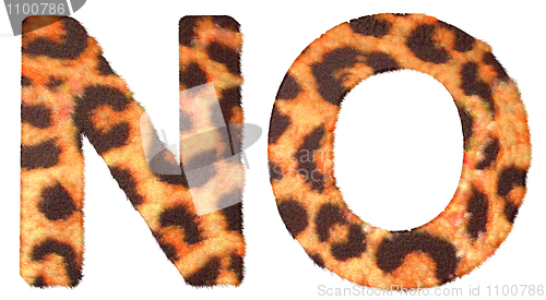 Image of Leopard fur N and O letters isolated