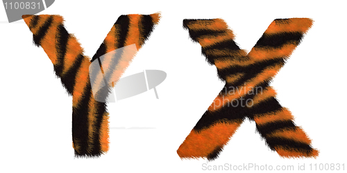 Image of Tiger fell X and Y letters isolated