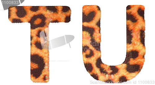 Image of Leopard fur T and U letters isolated