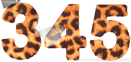 Image of Leopard skin 3 4 and 5 figures isolated