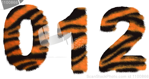 Image of Tiger fell 0 1 and 2 figures isolated