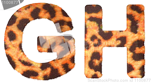 Image of Leopard fur G and H letters isolated 