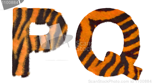 Image of Tiger fell P and Q letters isolated 