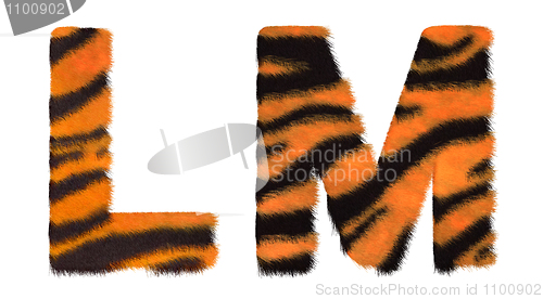 Image of Tiger fell L and M letters isolated